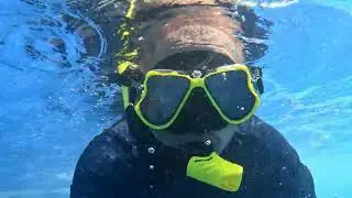Dominican Republic | Punta Cana | Occidental Punta Cana | POV | Pool Swim with snorkel