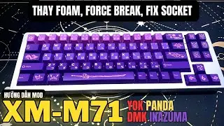 Xinmeng M71 | Mod foam, force break, đ&ocirc;n socket, keycap inazuma, switch yok panda