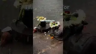 Mahashivratri Status in Hindi |Mahadev WhatsApp Status 2026 |Bholenath Status | Shivratri Special