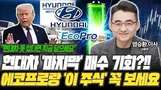 현대차, 2차전지주 지금 팔지 말고, 더 사세요! 마지막 매수 기회입니다 [염승환 / LS증권 이사]