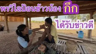 น้องกึกได้รับข่าวดีวันนี้พี่สาวป้อนข้าวกับหมากขามหวานน้องด้วย✌️😍🇹🇭❤️🇱🇦#บ่าวลาวพาเพลิน#30/1/26