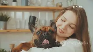 Frenchie Furs: Colors and Quirks