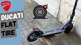 Rear Flat Tyre Ducati Pro-I Evo 🛴🛞