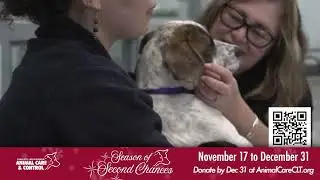 CMPD Animal Care & Control - Season of Second Chances :15