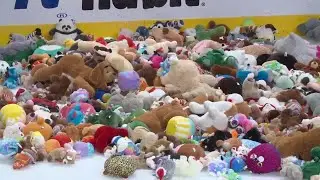 WATCH: Thousands of fluffy friends hit the ice at Swamp Rabbits' 
