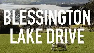 Blessington Lake Drive