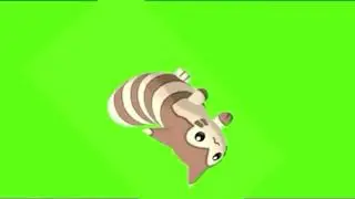 Furret spin green screen(fast)