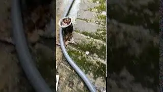 Pompage de caniveau