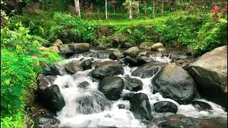 Silent River Night Sounds for Insomnia Relief | Calming Water Flow & Stress Reduction