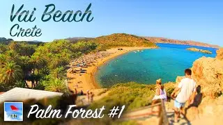 VAI PALM BEACH, Crete - № 1 palm forest in Europe: how was it formed? & what to do there? | Greece