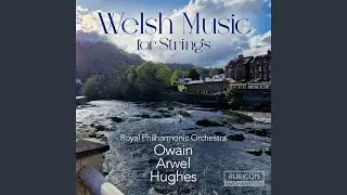 Music for Strings, Op. 14: III. Danza