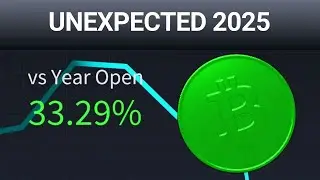 365 Days of Bitcoin Cash Price In 10 Minutes