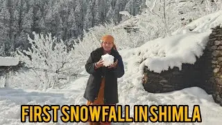 Frist  Snowfall in Shimla Narkanda Himachal Pradesh 