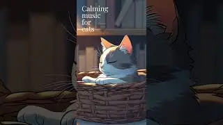 Calming Music for Cats 🐾