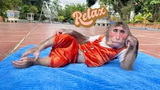 Healing Morning Video 🌿 Cubis Sunbathing and Gentle Morning Exercise!