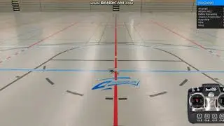 Realflight 8 horizon hobby edition blade 130x 3d indoor (crash)