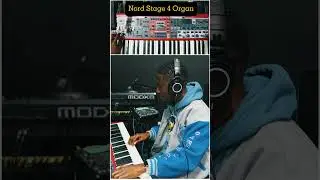 Nord Stage Organ vs Roland Organ.. what&rsquo;s your choice? #GetthePatches