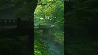 join us real tourism#travel and events pakistan#short #viral#shorts feed#