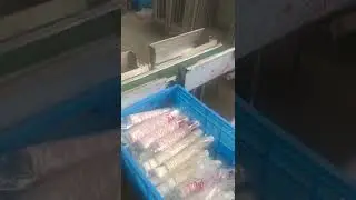 PAPER CUP PACKING MACHINE LQ-L666