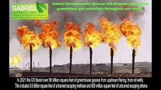 Gabriel Environmental Rescue website