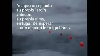 balada para un loco Astor Piazzola frases de Borges y cuadros Vicent. van gho