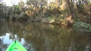 Topwater Bass on OSP Bent Minnow