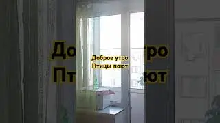 мое утро каждый день😊