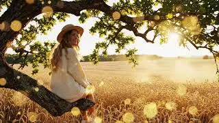 Acoustic Country Heartbreak - Slow, Raw Melodies That Tell A Story