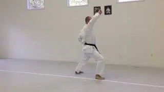 Age Uke (stepping backwards) Zenkutsu Dachi | IKD Testing Syllabus videos | Shotokan Karate 2013