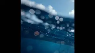 2. Surfing on Glass - Zach Abramson, Derek Muro, David Perlick-Molinari