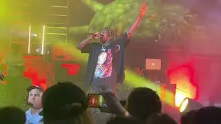 Regular and Complex Flatbush Zombies Live