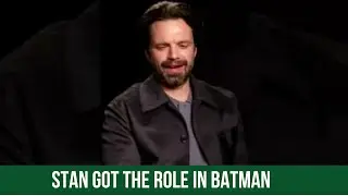 Sebastian Stan landed the role of Two-Face in Batman The Animated Series