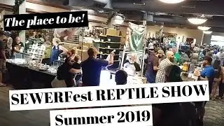 SEWERFest Summer 2019 - Crested Geckos, Leopard Geckos, Snakes, Isopods Oh My