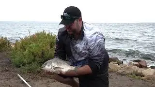 Oz Fish TV 11 AM Sunday