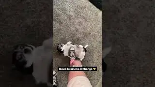 Quick business exchange 🤝