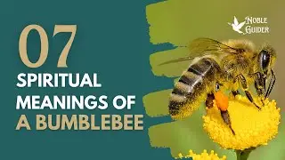 7 Spiritual Meanings of A Bumblebee #spiritualmeaning #bumblebee #spirituality #viralvideo