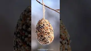 Easter Egg Bird Feeder 🐦 🥚