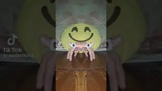 momento de la ara&ntilde;a insana voladora XD 👻