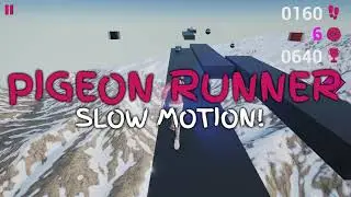 PIGEON RUNNER - SLOW MOTION! - PC VERSION