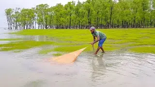 Wow, Very Nice Net Fishing In The River || Daily Net Fishing Video