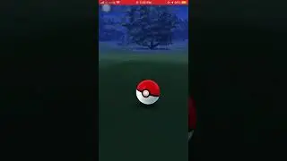 Don&rsquo;t catch grovyle