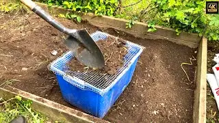 Spring Garden Makeover 🌱 | Prep Soil, Plant Vegetables & Build Fence