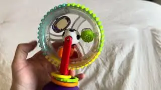 Sassy Wonder Wheel Review