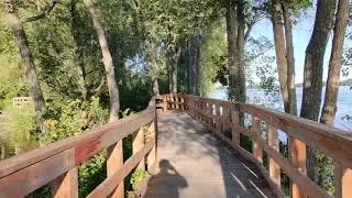 one plus 7t pro video stabilization