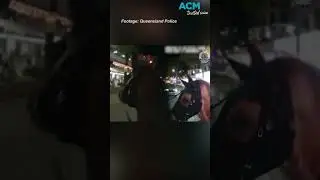 Motorcyclist allegedly strikes two police horses