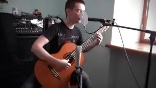 Tool - Reflection (acoustic cover)