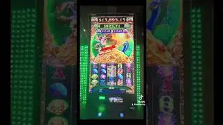 Imperial 88 Peacock 🦚 Beauty Jackpot! 🎰
