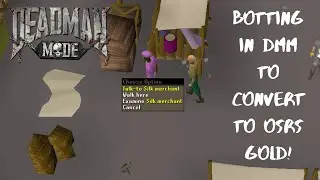 Botting In DMM For EASY Conversion Gold! | DreamBot | Scripter for Fun