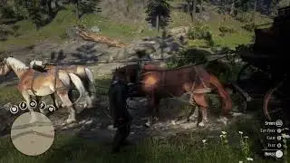 rdr2 - Third Strawberry Stage Coach Robbery Tip from Postman