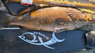SPEARFISHING BEST MOMENTS YEAR 2021